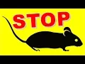 Download Lagu Repellente Ultrasuoni per Topi, Scaccia Anti Insetti, Zanzare tropicali, Ratti