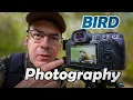 Download Lagu CARA MEMOTRET BURUNG KECIL: TIPS PROFESIONAL FOTOGRAFI (menggunakan Canon R5 saya)