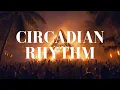 Lagu Drake - Circadian Rhythm (Afro House Remix)