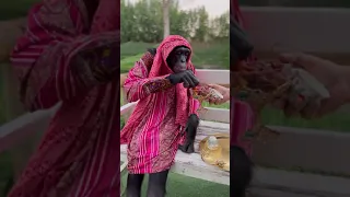 ملك الوحوش مع الملكة حلومة في حديقة حيوانات راس الخيمة 