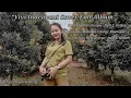 Download Lagu VIVI INDRAYANI COVER FULL ALBUM ( TAMPARAN HASUPA, LAYU MAHALAI X ELA NYIA NYIA JE TEGE )