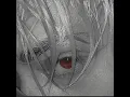After dark x Sweater weather (Reprod.Xenenra) [Tik Tok Mashup]