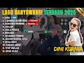 Download Lagu Dini Kurnia Full Album Terbaru - LEBU, CEMENG MANGGIS, BOKONG SEMOK || Lagu Banyuwangi Trending 2025
