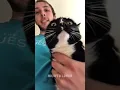 Download Lagu 😻🎙️ When kittens start talking in baby language 🥺 #TinyMeows #CuteKittens #SoftChaos