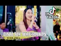 Download Lagu Nonik Aprilia - Cinta Tak Terpisahkan - KMB Gedruk  | AMpro audio ( Duh Genok Gondal Gandul )