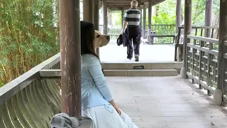 【旺仔很忙🐶wangzai is busy】关于对象给我拍照把我变成狗这件事About My Partner Taking a Photo of Me and Turning Me to a Dog