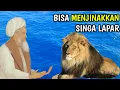 Kisah wali Allah yang mampu Taklukkan singa yang lapar. Ibrahim Bin Adham