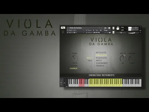 Viola da Gamba product video