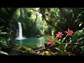 No Mid Ads Hours of Nature Sounds Tropical Paradise Jungle Ambience Birdsong Waterfall