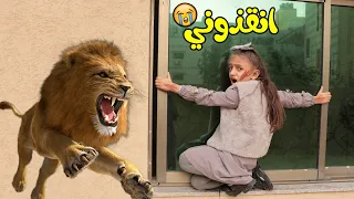 بنت صغيرة ما سمعت كلام بابا وطلعلها اسد بنص الطريق        مؤثر جدا  دندنها