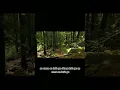 Download Lagu Video lyrics-Hyndia -Tidak semua orang berjuang hingga akhir.