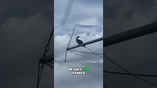 Day 12 on the ocean #sailing #liveaboardlife #oceanvoyage #fishing