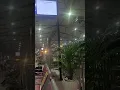 Download Lagu Lagu daerah, Nasi Pecel Madiun mengiringi kedatangan KA Kertanegara masuk Stasiun Madiun
