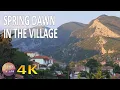 Download Lagu 4K Spring dawn in the village - Relaxing sounds of Sparrows Swallows Doves Gulls Roosters