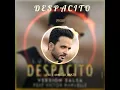 Download Lagu DESPACITO Remix iphone ringtone