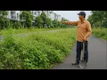 Download Lagu Overgrown nature's sidewalk are a disappointment - Clean up the sidewalk Transformation