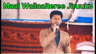 Dawit Morka Obsaan Akkake Jiraaree 