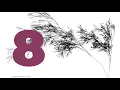 Functional programming for artists and scientists part 8