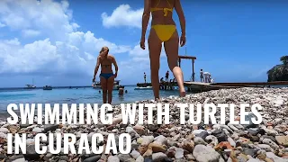 Caribbean Dream: Swimming with Turtles in crystal clear water – UNTIE THE LINES IV #68