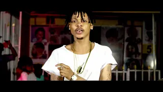 the savage brothers is allowed official video 