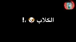 حلات وتس هوهو الكلاب كتير بيحسدوني 