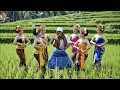 Lagu Lagu Bali Pan Godel Cipt. I Wayan Godel  [ OFFICIAL MUSIC VIDEO ]