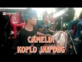 Download Lagu Camelia _ Koplo Kendang Jaipong !!!