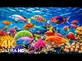 Download Lagu Marvel at Sea Animal in The Best 4K ULTRA HD Aquarium-Dive Into The Mesmerizing Underwater Realm #14