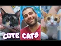 Download Lagu 2 Kucing Kakak Beradik yang Menggemaskan! (1 Sangat Tenang, 1 Sangat Marah!)