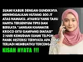 Lagu SUAMI KABUR BAWA SELINGKUHAN \u0026 UTANG 500 JUTA! 1 MINGGU KEMUDIAN TERNYATA...