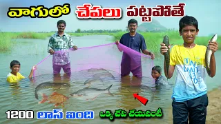 వాగులో చేపలు పట్టా పోతే | Vagulo Chepalu Patta Pothe | Fish Hunting | Manu Videos |Telugu LetestAll 