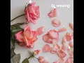 Download Lagu Bila Cinta Di Dusta