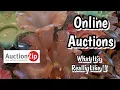 Auctionzip Online Vintage Antique Auction - I Show You What It s ALL About From Beginning To End