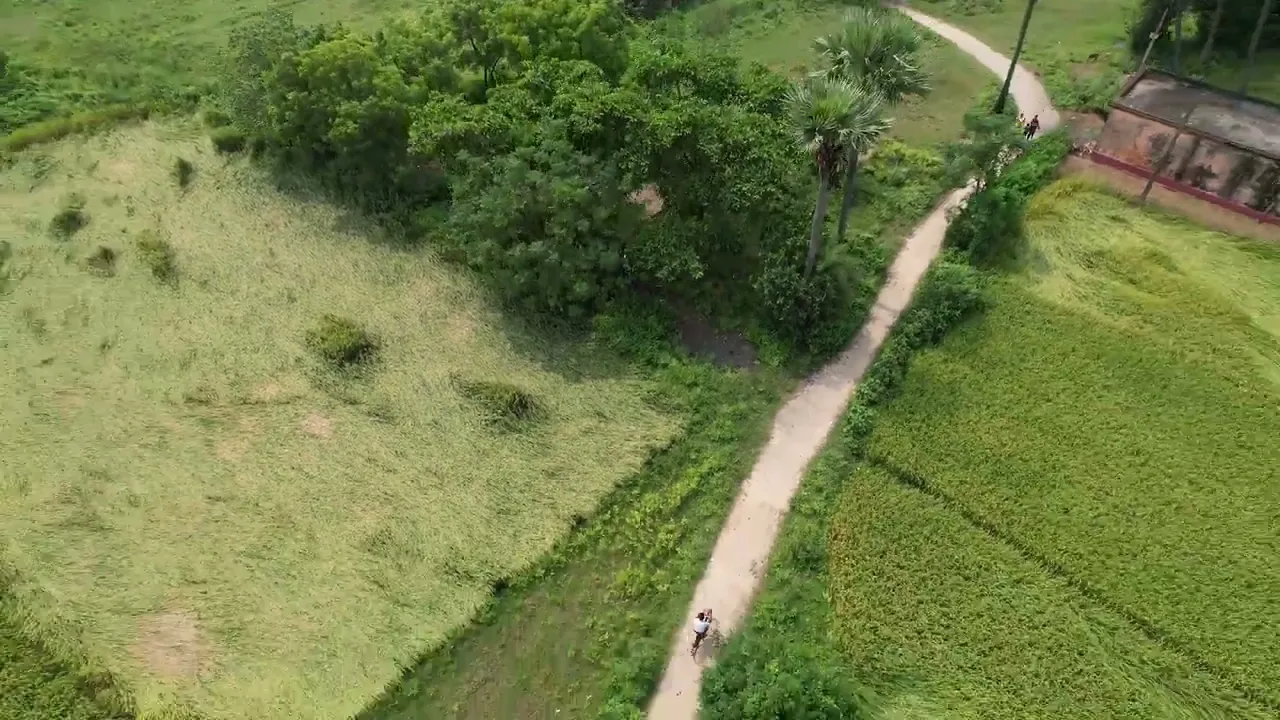 DJI 0010