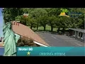 Motel 88 - Oneonta Hotels New York