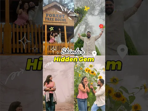 Craignano Nature Park🌼, Shimla📍 #trending #viral #shortvideo #shortsfeed #shorts #shimla #minivlog