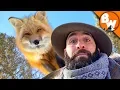 Can Coyote Outfox a Fox
