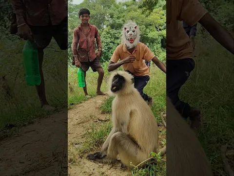 Jai Bajrang 🍉🍉