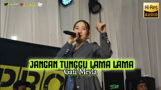 jangan tunggu lama lama gati meyla live one pro banyuwangi da audio