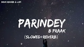 parindey slowed reverb b praak jaani gippy grewal sargun mehta me kisse ishq de dekhe