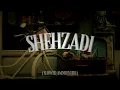 Download Lagu Shehzadi (Slowed and Reverb)