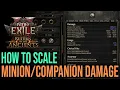 How to scale minion damage in Path of exile 2