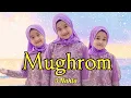 Download Lagu Mughrom  - 3 Nahla (cover version)