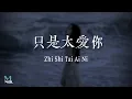 Ding Fu Ni (丁芙妮 ) – Zhi Shi Tai Ai Ni (只是太愛你) Lyrics 歌词 Pinyin/English Translation (動態歌詞)