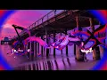 Southern California Purples ,,Chicago.................tsrgp
