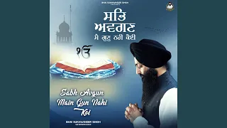 sabh avgun main gun nahi koi