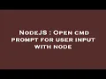 NodeJS Open cmd prompt for user input with node