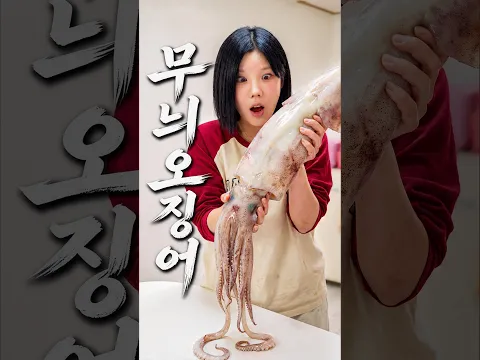 [1편] 레전드 무늬 오징어 회덮밥 먹어보자!!