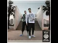 Palmen aus Plastik (Instrumental)