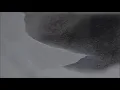 Shallou - Count on (feat. Colin) [Trivvoo Release]